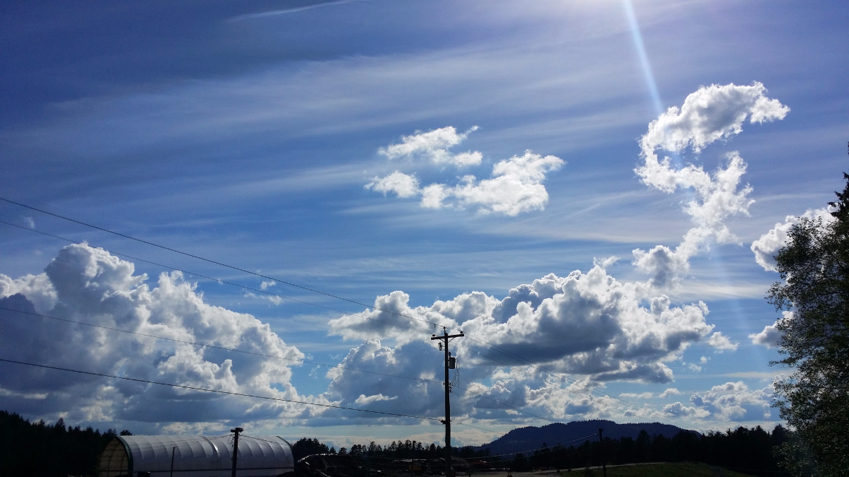 ‘Only One Sky’ Encourages ‘Citizen Scientists’ To Fight Climate Change