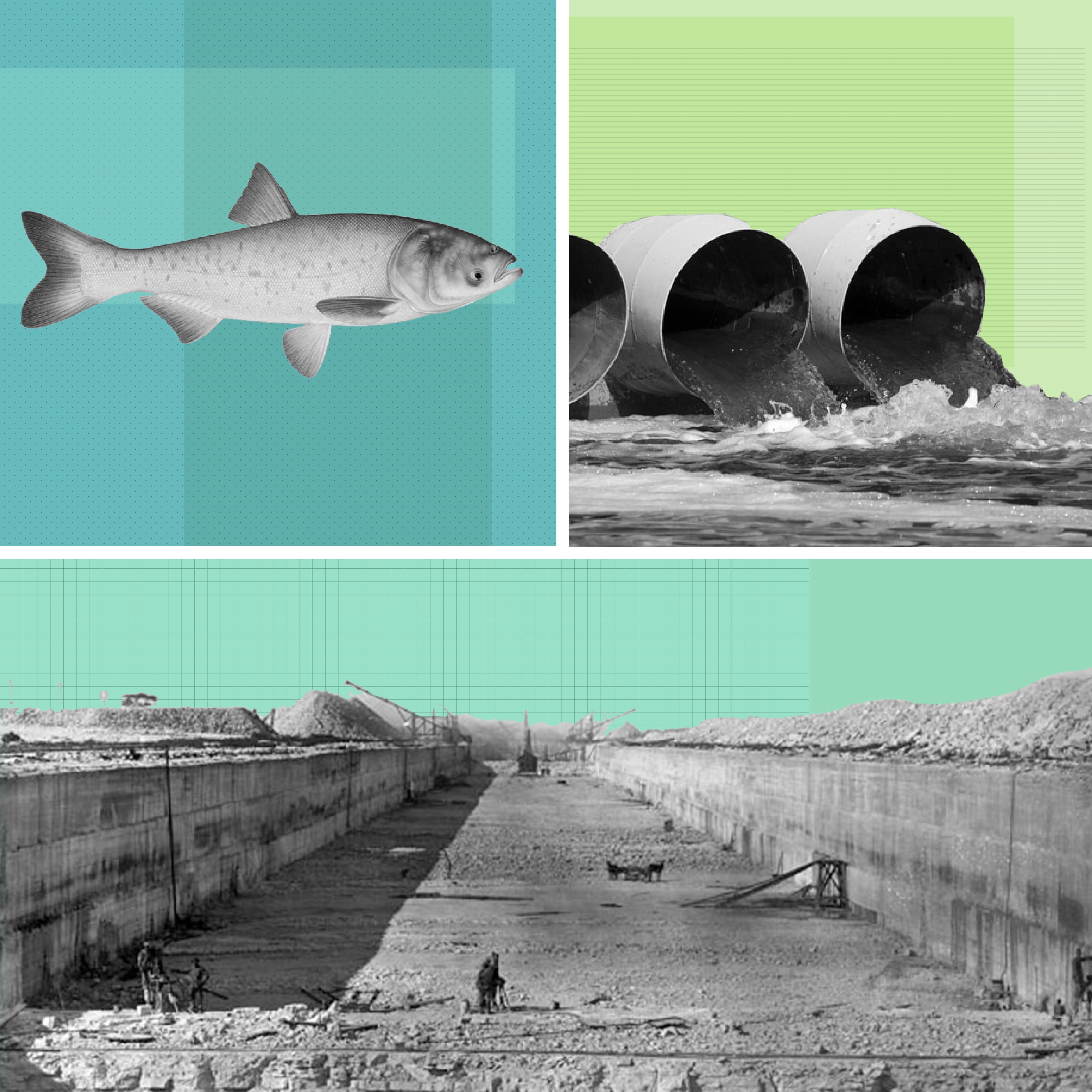 The Environmental Impacts Of The Chicago River Reversal WBEZ