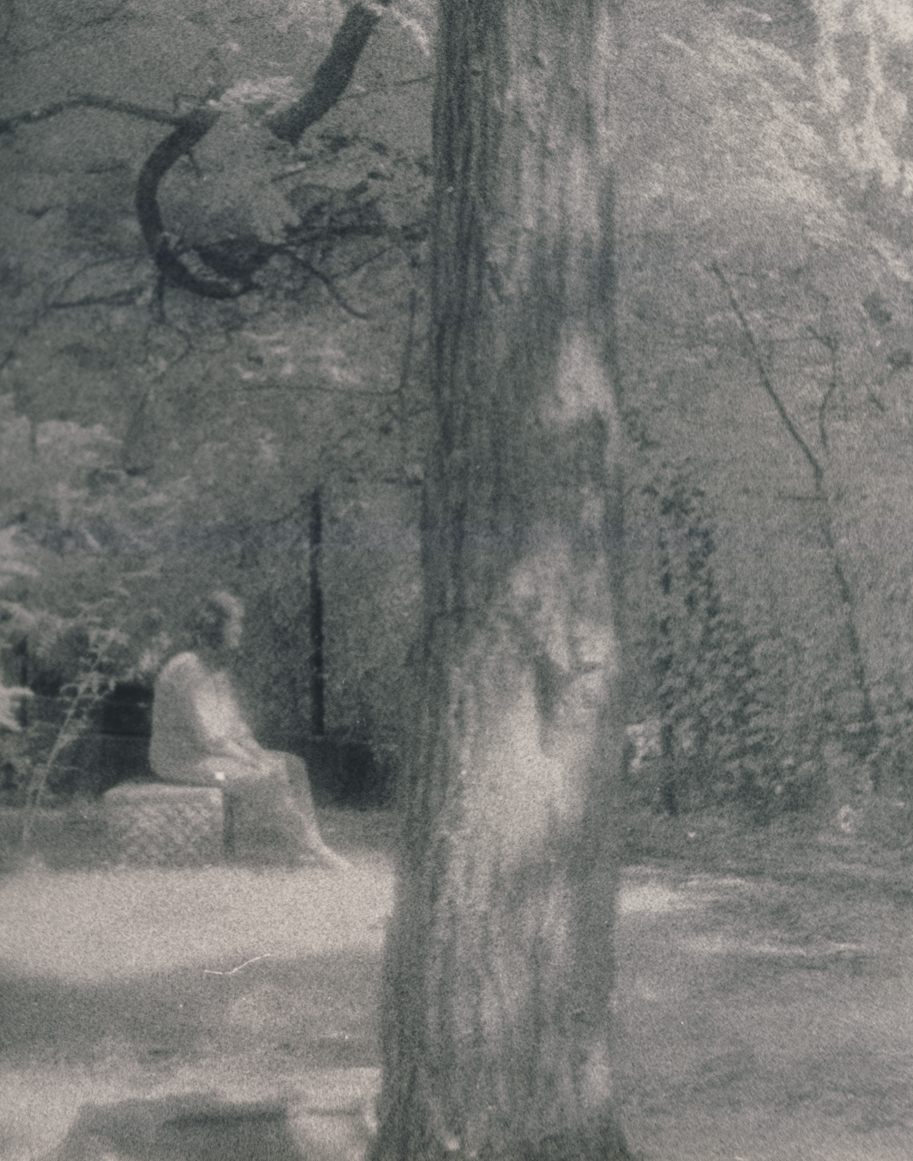 Blue lights twinkling between the graves, ghostly figures and even phantom houses appearing and disappearing are only some of the ghost stories from Bachelor’s Grove Cemetery. What really happened to this abandoned cemetery? 