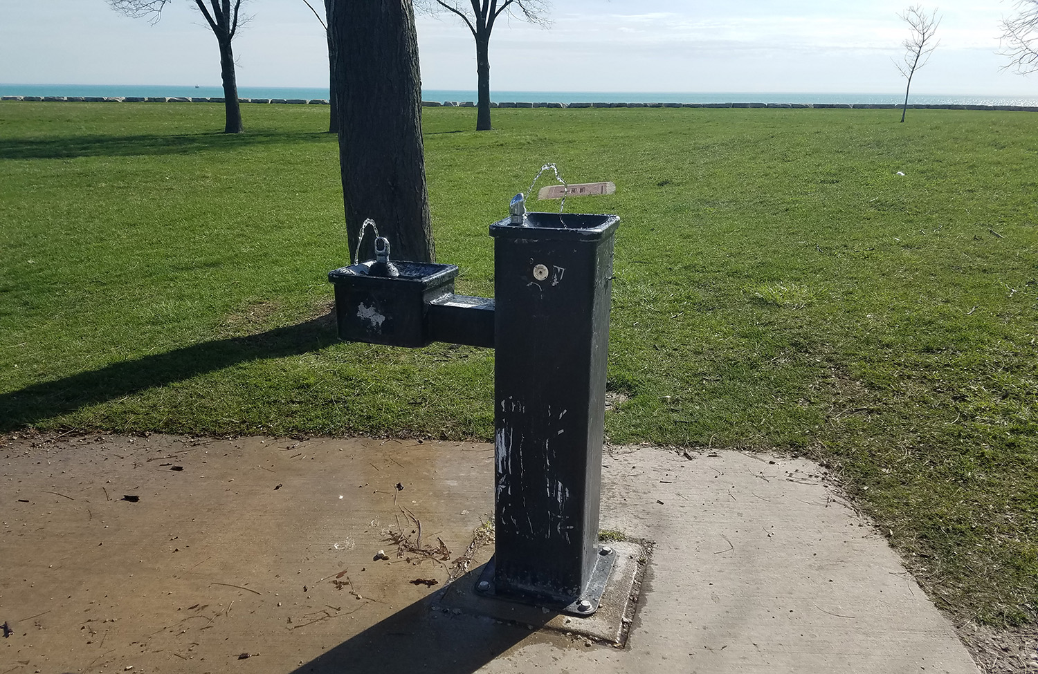 Chicago To Replace, Remediate Or Remove All Park District Fountains